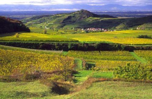 Landgasthof Zum Lamm Bahlingen  Екстериор снимка